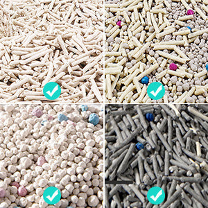 Katzentoilette Fur Die Reinigung Aus Kunststoff