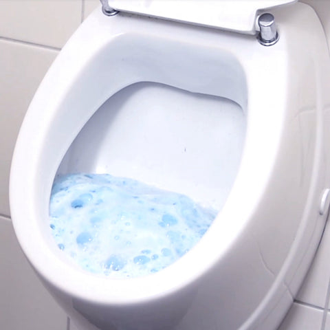WC Schaum - WC Schaum