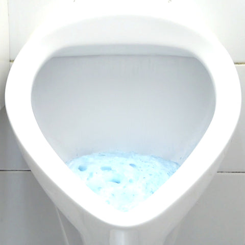 WC Schaum - WC Schaum